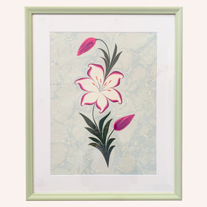 Lily Ebru Marbling